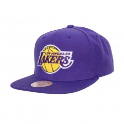 TEAM GROUND 2.0 SNAPBACK LAKERS