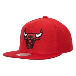 TEAM GROUND 2.0 SNAPBACK BULLS