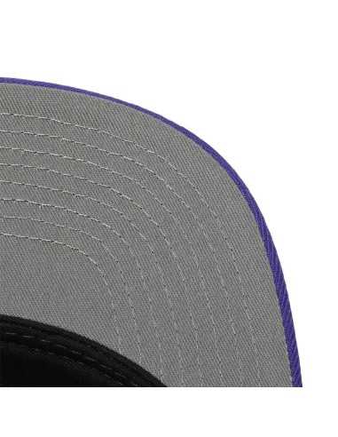 TEAM GROUND 2.0 SNAPBACK SUNS