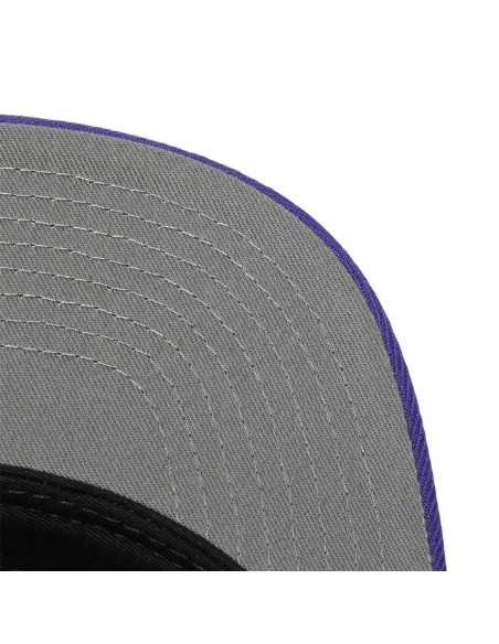 TEAM GROUND 2.0 SNAPBACK SUNS