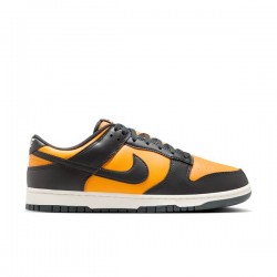 NIKE DUNK LOW RETRO