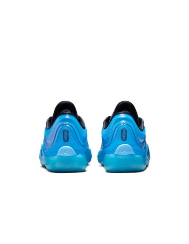 ZION 4 "IRIDESCENCE"