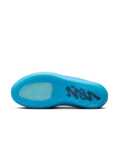 ZION 4 "IRIDESCENCE"