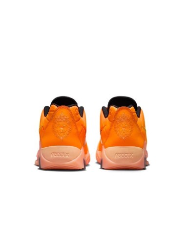 LEBRON WITNESS 9