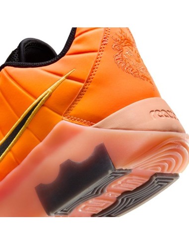 LEBRON WITNESS 9