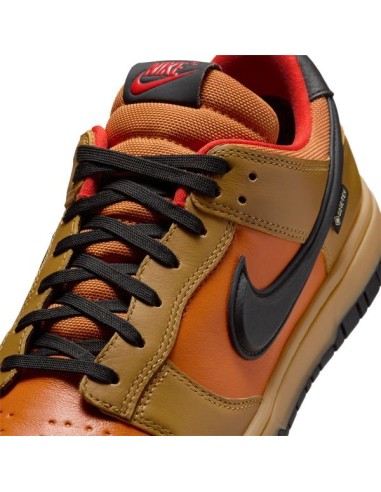 NIKE DUNK LOW GORE-TEX
