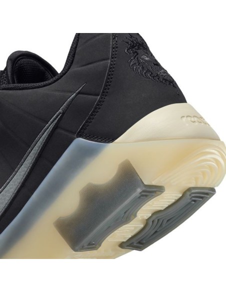 LEBRON WITNESS 9