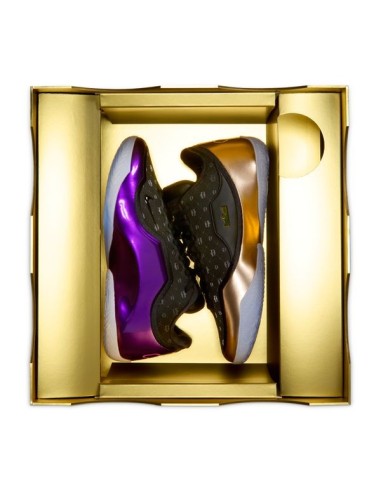 LEBRON XXIII "CHOSEN ONE"