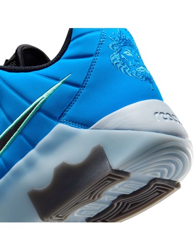 LEBRON WITNESS 9