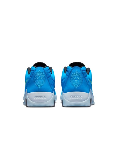 LEBRON WITNESS 9