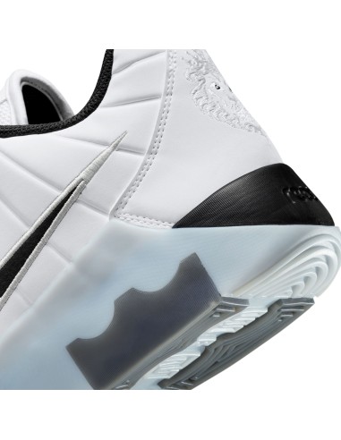 LEBRON WITNESS 9