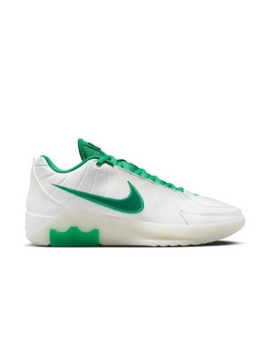 LEBRON WITNESS 9