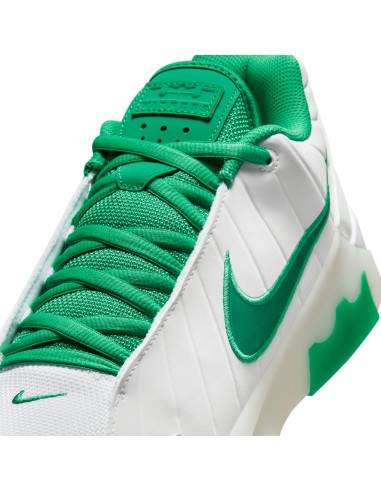 LEBRON WITNESS 9