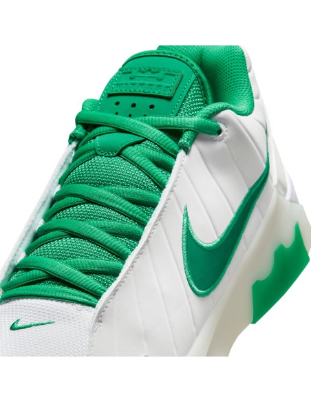 LEBRON WITNESS 9