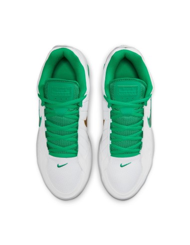 LEBRON WITNESS 9