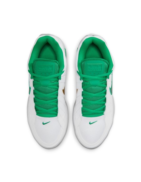 LEBRON WITNESS 9