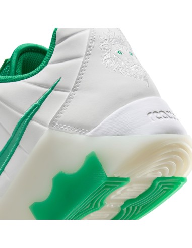 LEBRON WITNESS 9