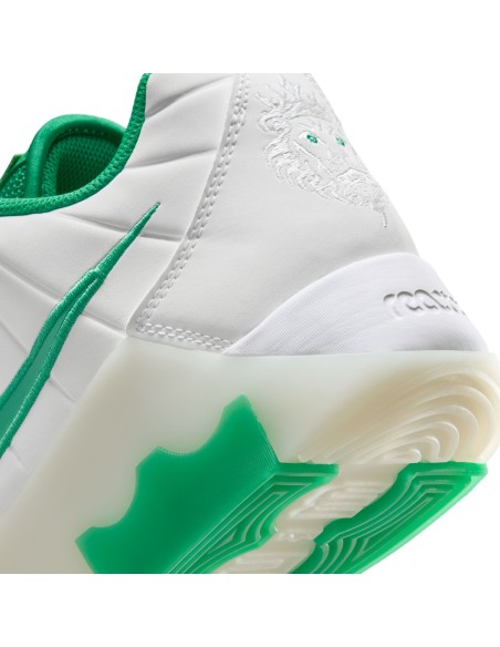 LEBRON WITNESS 9