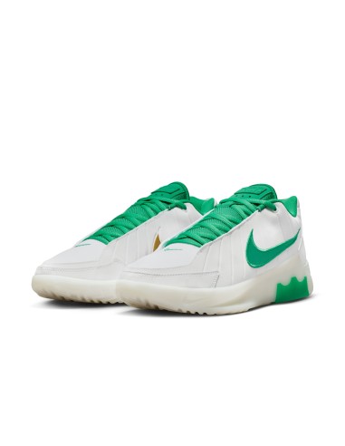 LEBRON WITNESS 9