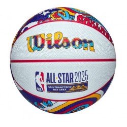 2025 NBA ALL STAR MINI BSKT