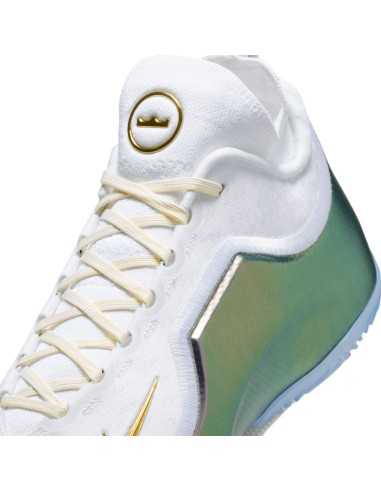 LeBron XXIII Elite "For the Record"