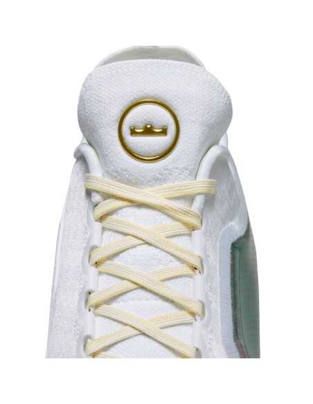 LeBron XXIII Elite "For the Record"