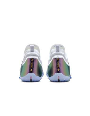 LeBron XXIII Elite "For the Record"