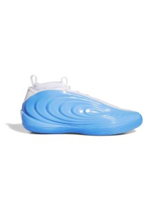 ADIDAS HARDEN VOLUME 10