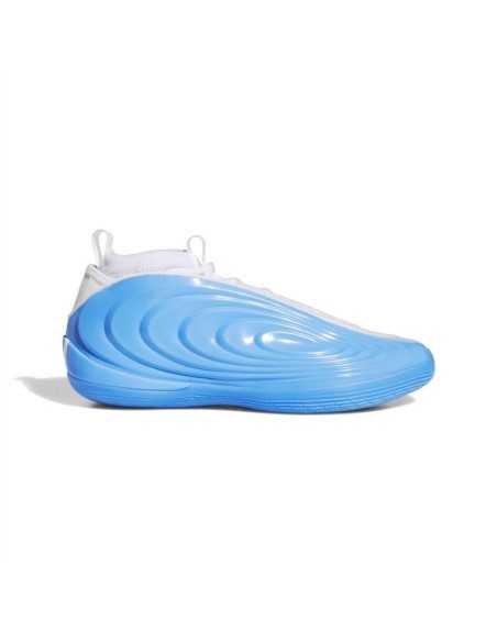 ADIDAS HARDEN VOLUME 10