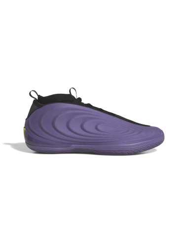 ADIDAS HARDEN VOLUME 10