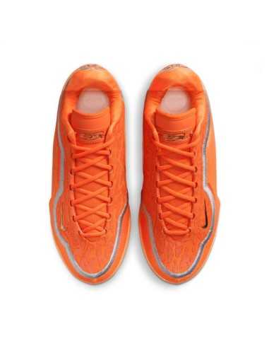 LeBron XXIII "Shoe Bag"