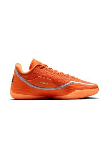 LeBron XXIII "Shoe Bag"