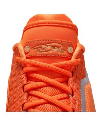 LeBron XXIII "Shoe Bag"