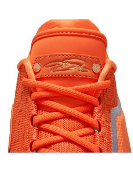 LeBron XXIII "Shoe Bag"