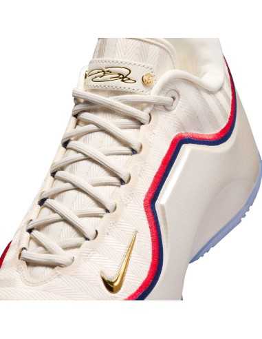 LeBron XXIII "Old Glory"