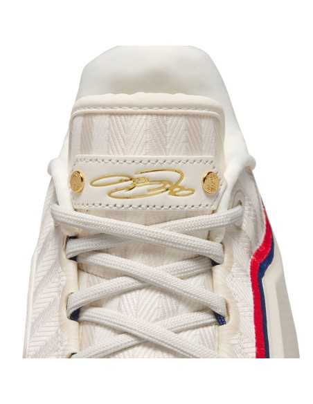 LeBron XXIII "Old Glory"