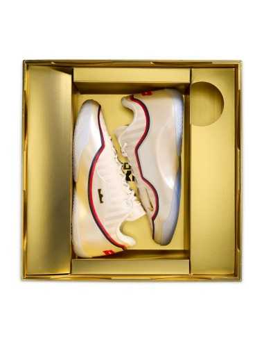 LeBron XXIII "Old Glory"